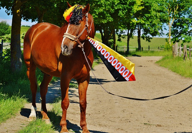 拉什福德 拉什福德