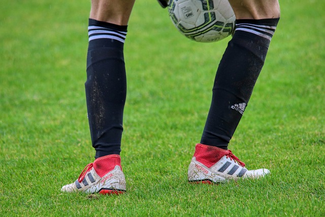 张可欣在过 张可欣在过