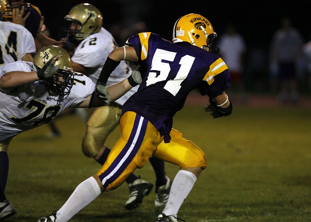 我们不仅看 我们不仅看