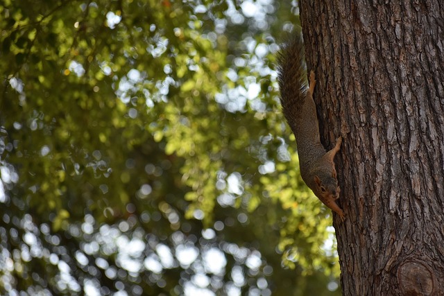 即使在第三 即使在第三