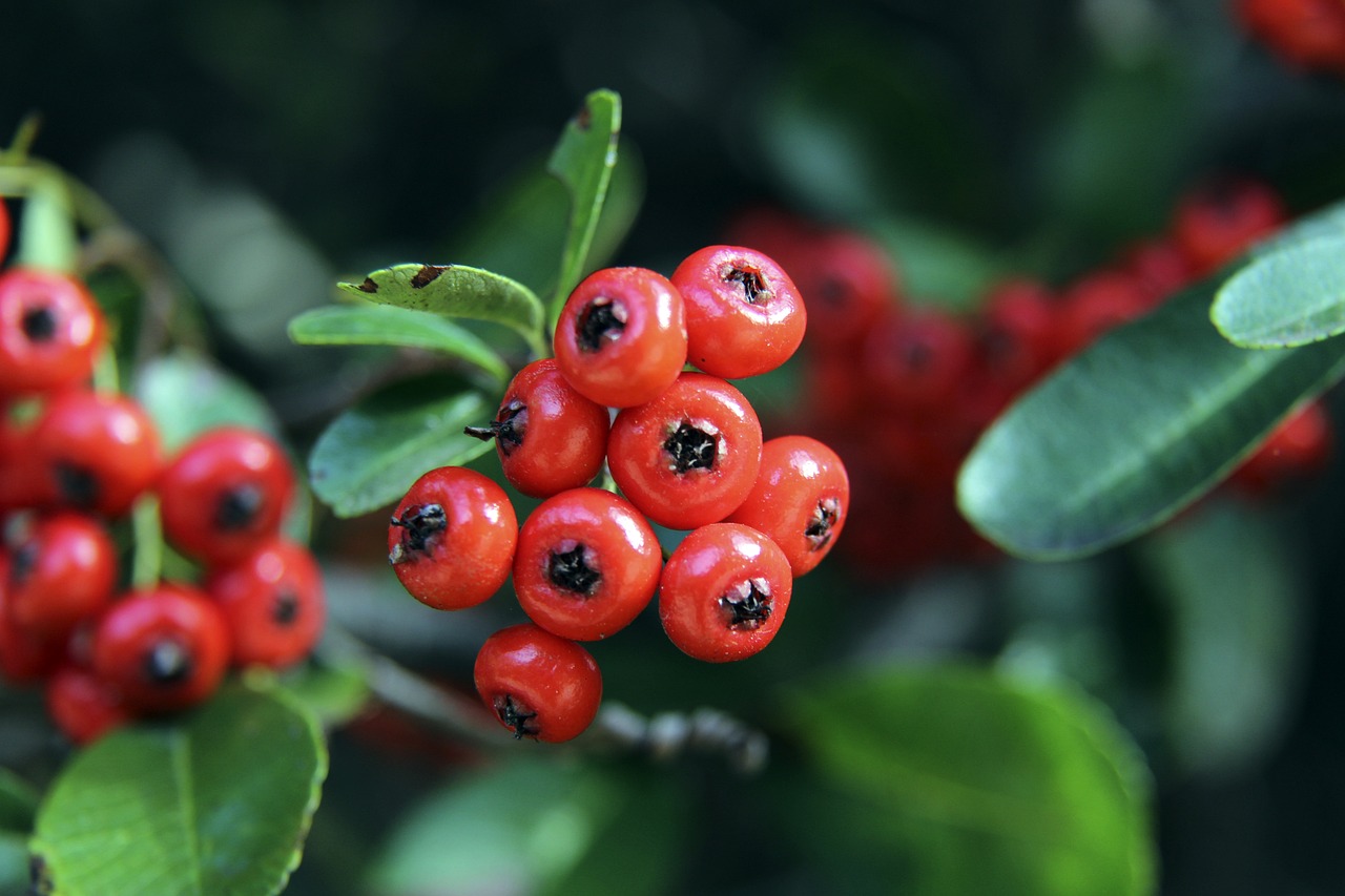 弧线控制与 弧线控制与