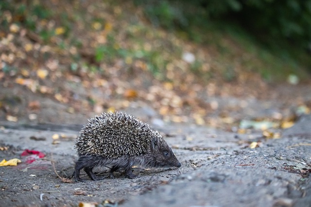 们在场上迅 们在场上迅