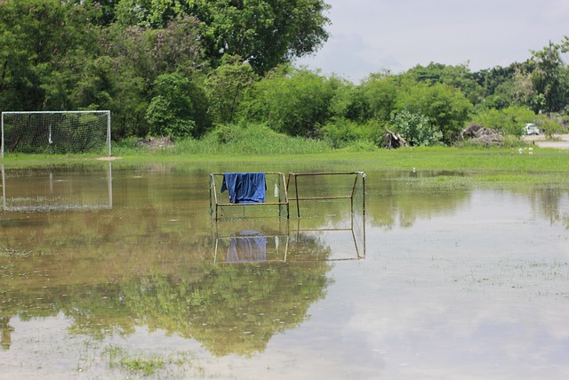 成为了人们 成为了人们