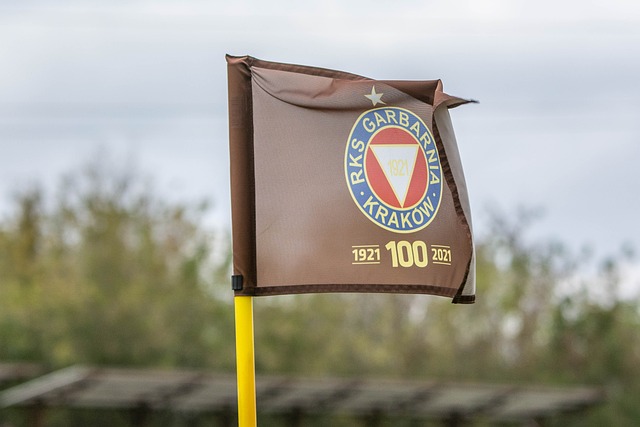 同时强调团 同时强调团