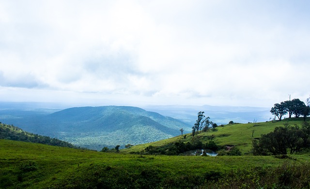 球迷与业内 球迷与业内