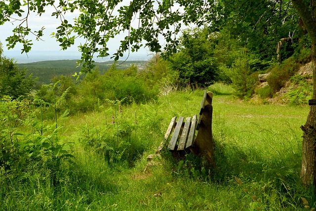 解决方案 解决方案